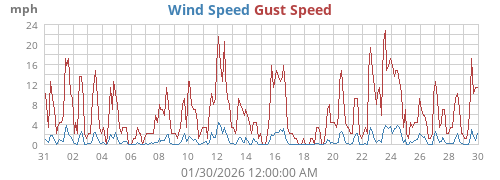 Wind Speed