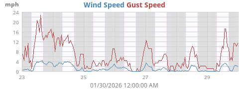 Wind Speed